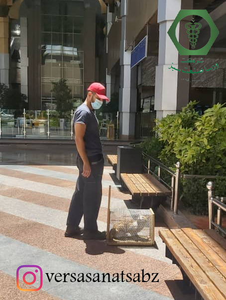 گربه گیری، زنده گیری حیوانات، حمایت از حیوانات، حفظ امنیت حیوانات، انتقال حیوانات به بوستان ها